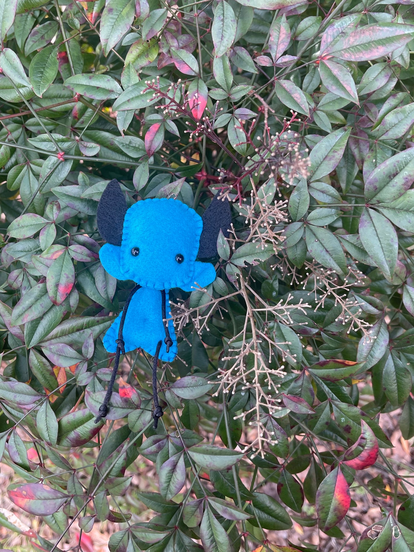 Gregory as he’s supposed to be