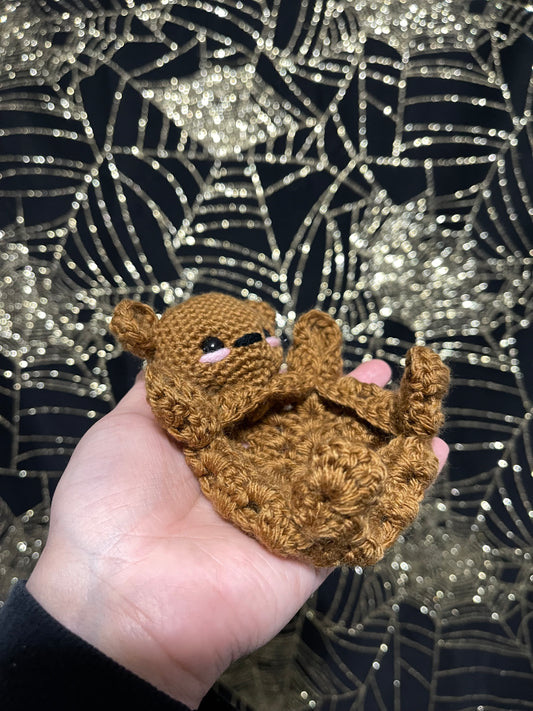 Little Teddy